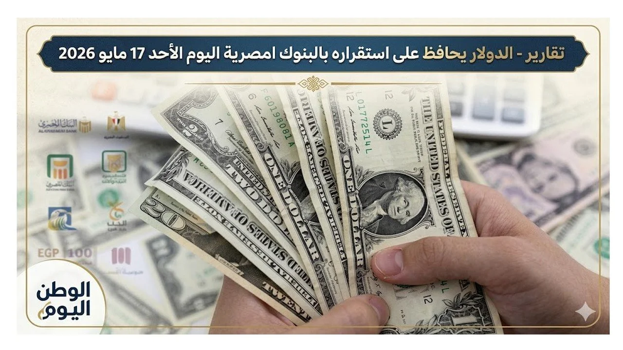 الدولار يحافظ على استقراره في البنوك المصرية اليوم الأحد